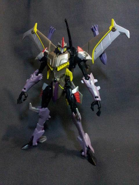 20130131_05.jpg
